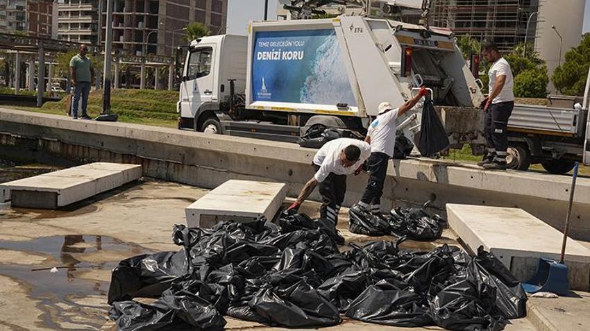 Korkutan görüntüler! İzmir Körfezi'nde kıyıya vuran ölü balıklar paniğe yol açtı