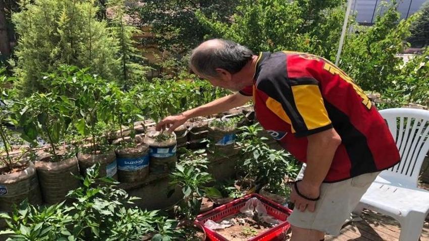 Eskişehirli esnaf çözümü balkonda buldu! Sebze bahçesine çevirdi