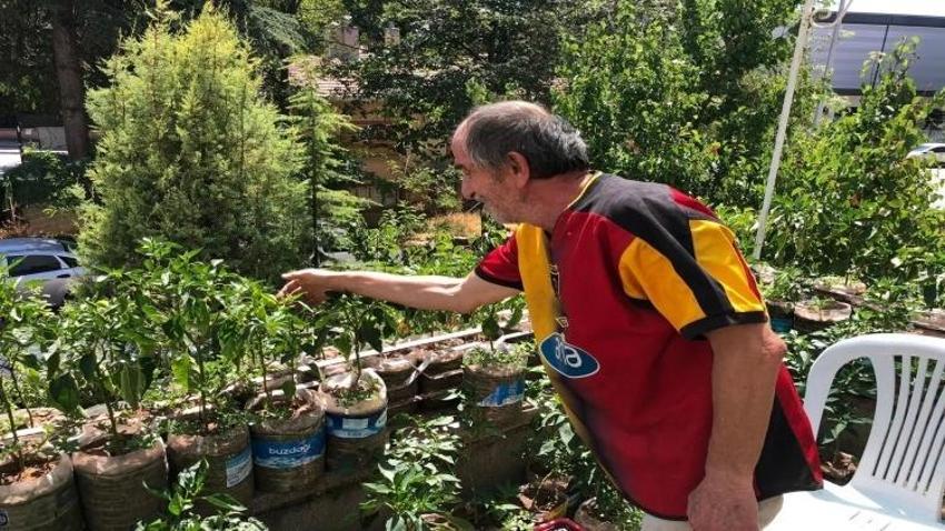 Eskişehirli esnaf çözümü balkonda buldu! Sebze bahçesine çevirdi