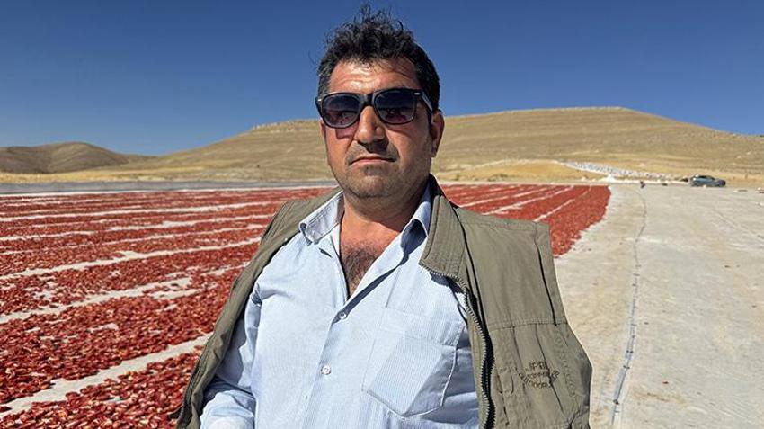 Elazığ'a misafirliğe gelen Şanlıurfalı arkadaşlar boş arazileri görünce harekete geçti! Bin dönümle başlayıp 6 bin dönüme çıkardılar