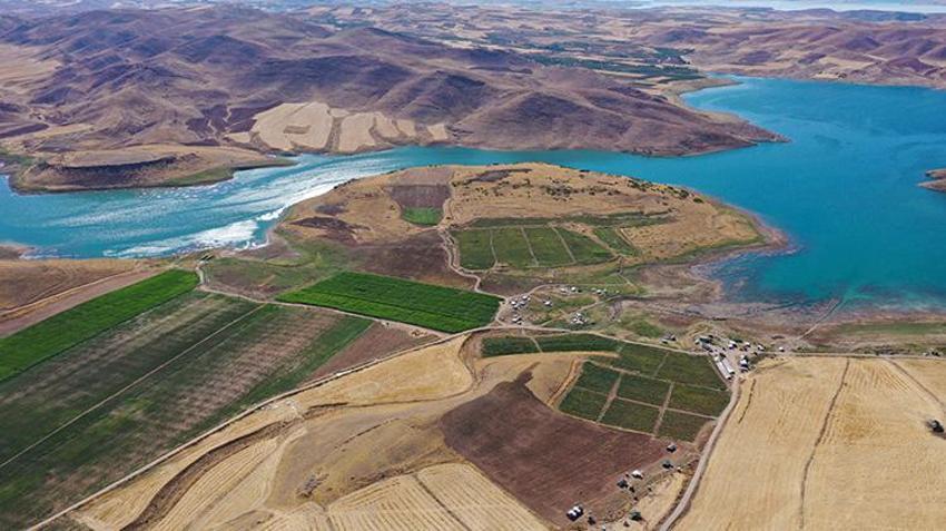 Elazığ'a misafirliğe gelen Şanlıurfalı arkadaşlar boş arazileri görünce harekete geçti! Bin dönümle başlayıp 6 bin dönüme çıkardılar