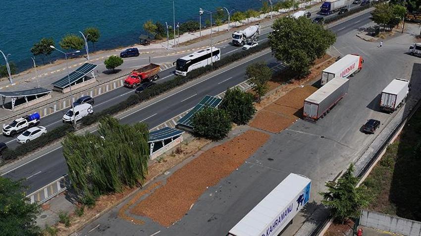 Karadeniz Sahil Yolu'nun rengi değişti! Boş arazi bulamayan üreticiler buraya akın etti