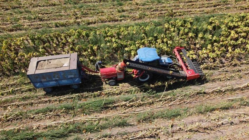 Yozgat'ta hasat başladı ama çiftçi memnun değil! 'Maalesef verimler düşük'