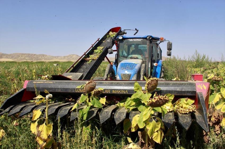 Yozgat'ta hasat başladı ama çiftçi memnun değil! 'Maalesef verimler düşük'