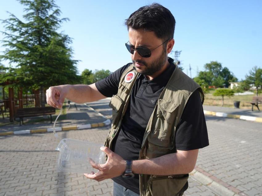 Rusya'dan gelen tehlike! Ağustos ve Eylül aylarına dikkat: Alerjisi olanları etkiliyor