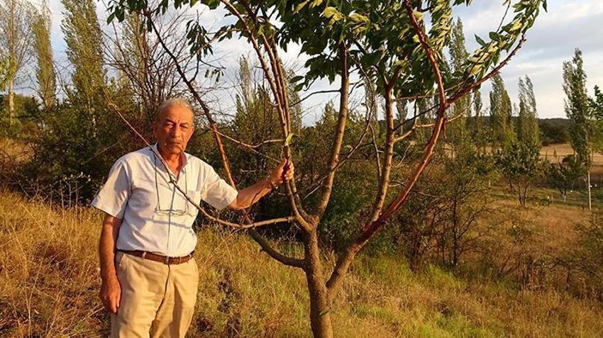 Kütahya'da mahsulü zarar gören çiftçiler fotokapan takınca gerçeği öğrendi! Onlar keçi beklerken bambaşka bir hayvan çıktı