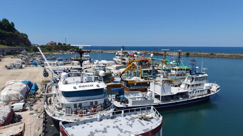 Karadeniz'de yeni av sezonu başlıyor: Balıkçılar heyecanla o günü bekliyor!