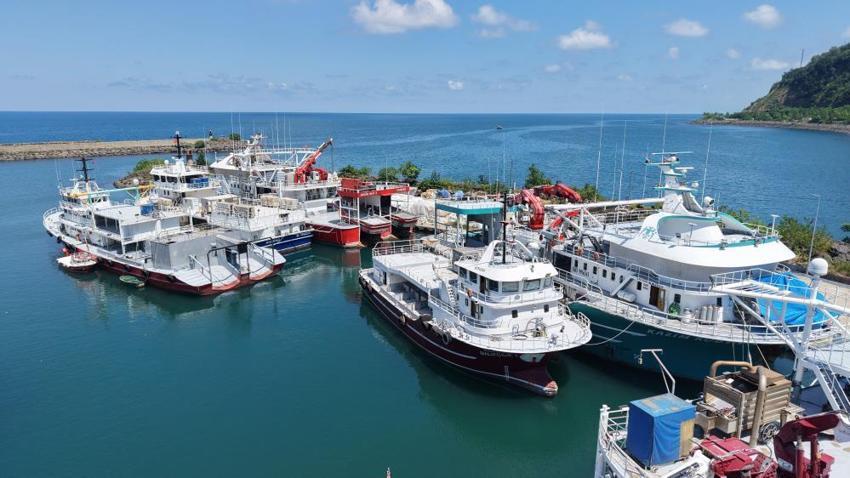 Karadeniz'de yeni av sezonu başlıyor: Balıkçılar heyecanla o günü bekliyor!