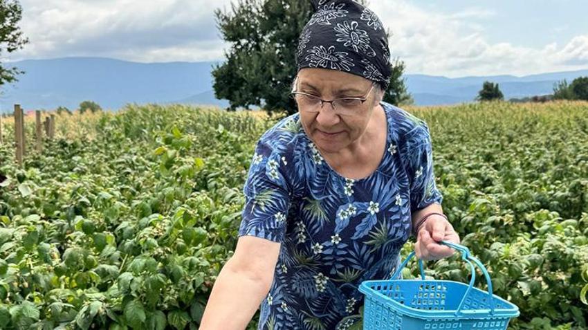 Bolu'da yaşayan genç girişimci kurduğu sistemle hem kendini hem de mahalleliyi iş sahibi yaptı!
