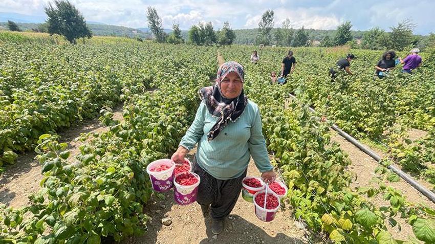 Bolu'da yaşayan genç girişimci kurduğu sistemle hem kendini hem de mahalleliyi iş sahibi yaptı!