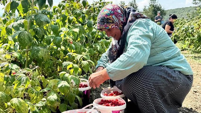 Bolu'da yaşayan genç girişimci kurduğu sistemle hem kendini hem de mahalleliyi iş sahibi yaptı!