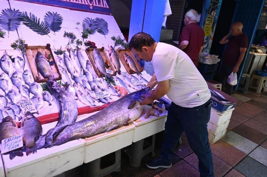 Eskişehir'deki dev yayın balığı görenleri hayrete düşürdü! 'Canavar gibi'