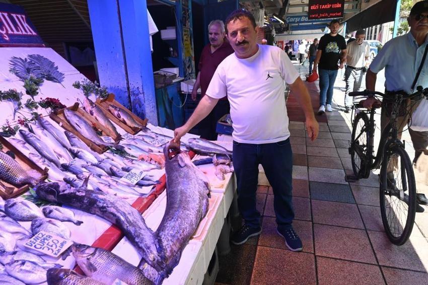 Eskişehir'deki dev yayın balığı görenleri hayrete düşürdü! 'Canavar gibi'