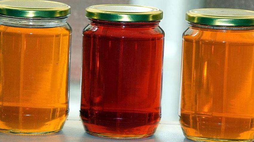Fiyatı belli oldu! Artvin'de kilosu 2 bin 500 liradan satılacak