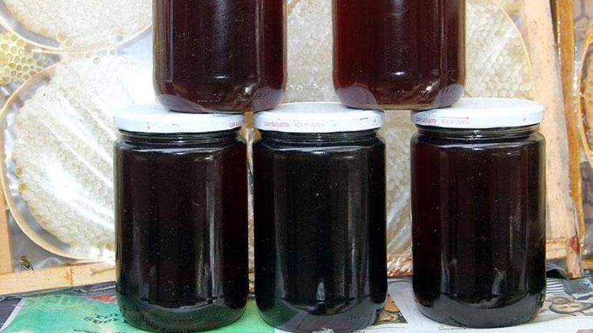Fiyatı belli oldu! Artvin'de kilosu 2 bin 500 liradan satılacak
