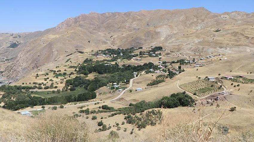 Yüksekovalı köylülerden anlamlı hareket! Yaban keçilerine sahip çıktılar sayıları arttı