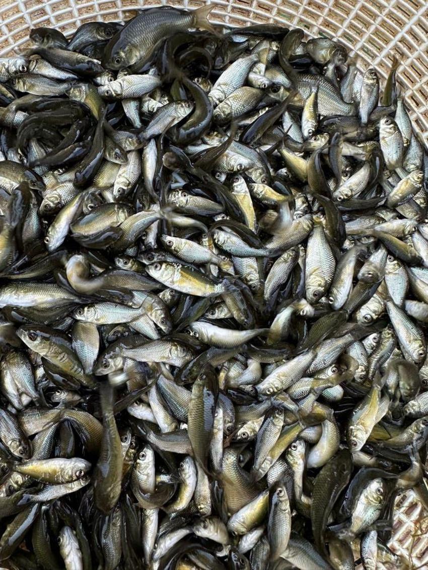 Bolu'da üretildi tüm Türkiye'ye dağıtıldı! 9 ilde 56 su kaynağıyla buluştu