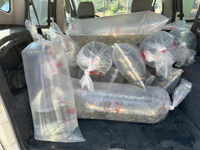 Bolu'da üretildi tüm Türkiye'ye dağıtıldı! 9 ilde 56 su kaynağıyla buluştu