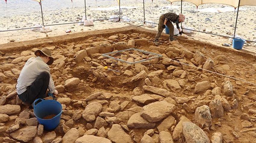 İngiltere'den Şanlıurfa'ya tek bir şey için geldi! Dünyada böylesi yok: Birçoğu ortaya çıktı