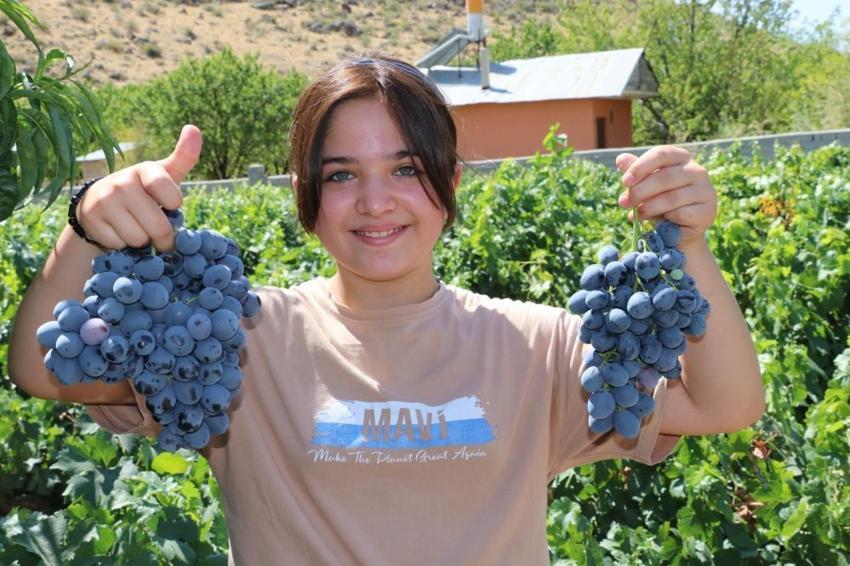 Türkiye'de üretim deposu Erzincan! Bu yıl hasat zengin edecek, kilosu 200 TL'den talep patladı