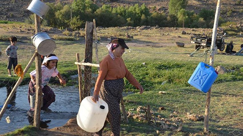 Muş'ta berivanlar yayla yollarında! Artık motosiklet sürüyorlar