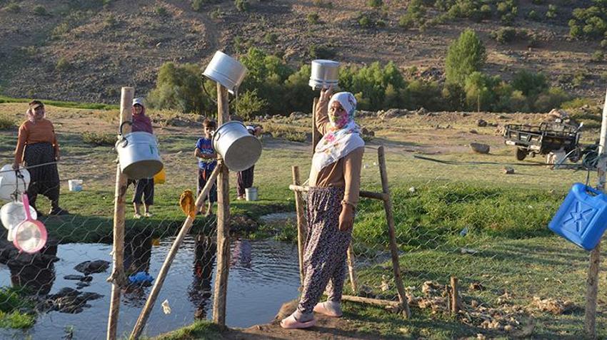 Muş'ta berivanlar yayla yollarında! Artık motosiklet sürüyorlar