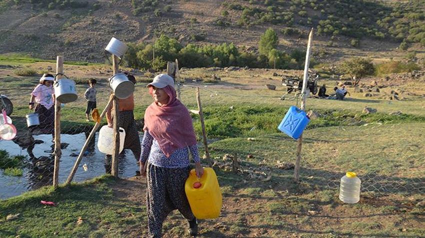 Muş'ta berivanlar yayla yollarında! Artık motosiklet sürüyorlar