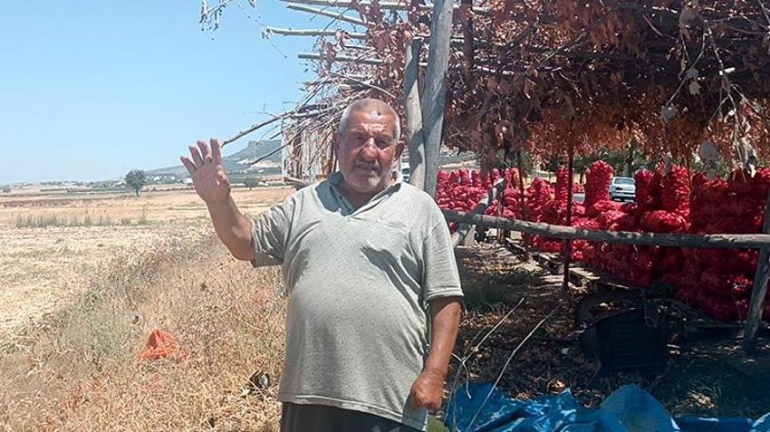 Gaziantep'te soğanın hasadı devam ediyor! Tarla ve market fiyatı arasında uçurum var