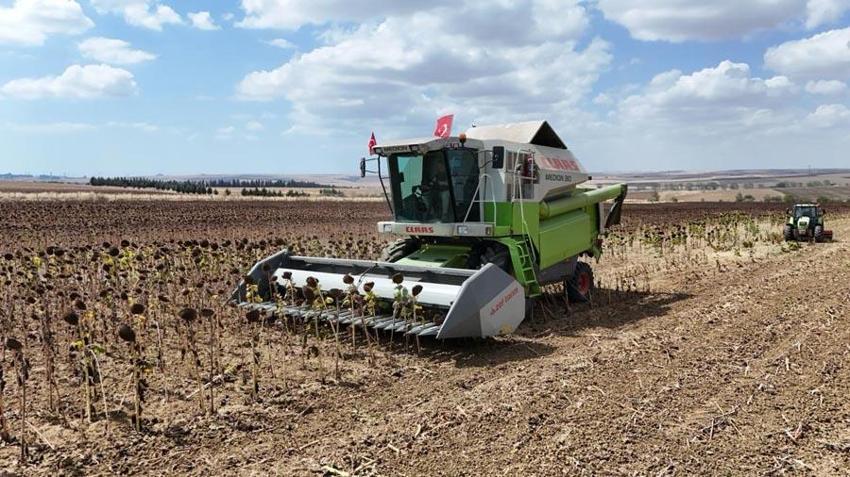 Silivri Belediyesi'nden ayçiçek yağı müjdesi! 15 bin haneye 5 litrelik tenekeler halinde ücretsiz ulaştırılacak