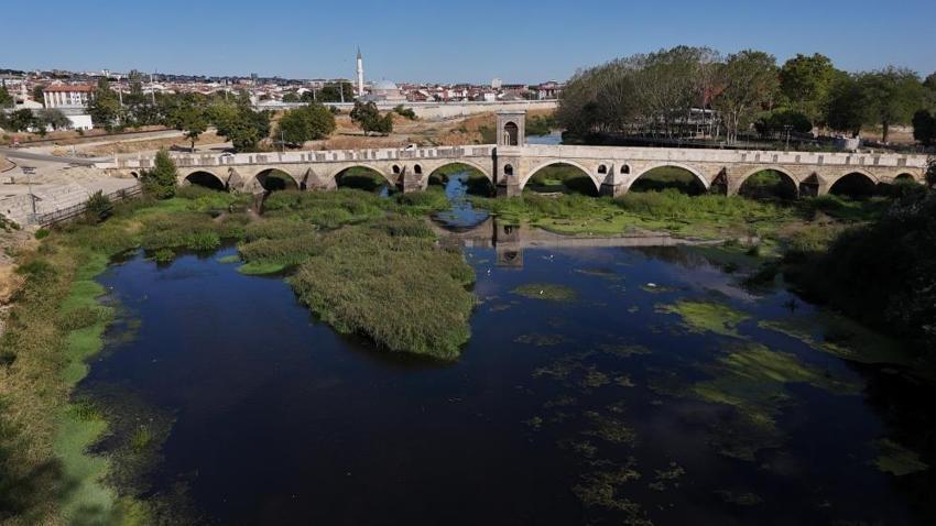 Tunca Nehri'nde otlar yayıldı! Kuraklık sonrası yüzey yeşile döndü