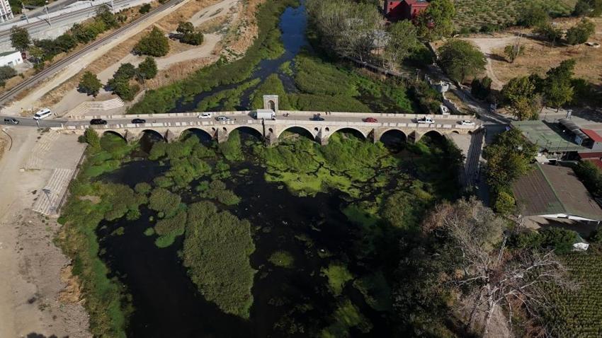 Tunca Nehri'nde otlar yayıldı! Kuraklık sonrası yüzey yeşile döndü