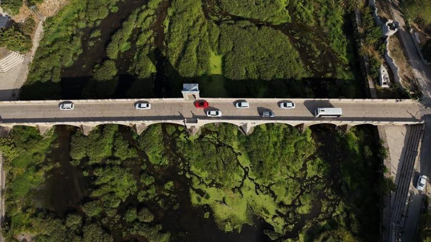 Tunca Nehri'nde otlar yayıldı! Kuraklık sonrası yüzey yeşile döndü