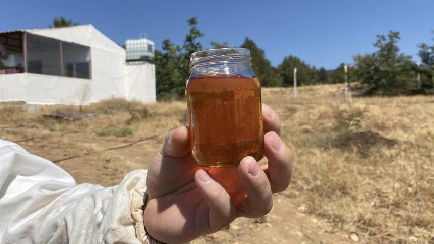Dünya rekoru Eskişehir'de! Hobi olarak başladı, en kalitelisini üretti: Guinnes'e aday oldu