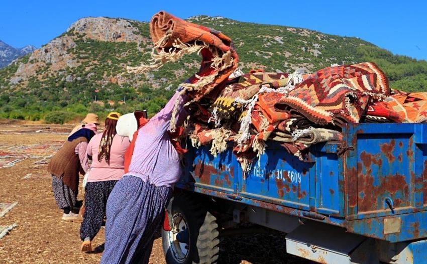 Bu hasat başka: Antalya ürün değil halılar toplanıyor