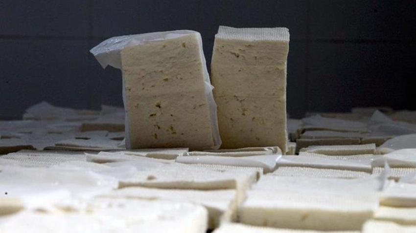 Kırklareli’nden dünya sofralarına! Günlük 1000 ton üretilip 17 ülkeye gönderiliyor!