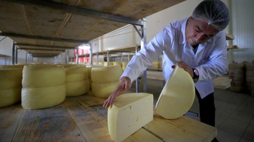 Kırklareli’nden dünya sofralarına! Günlük 1000 ton üretilip 17 ülkeye gönderiliyor!