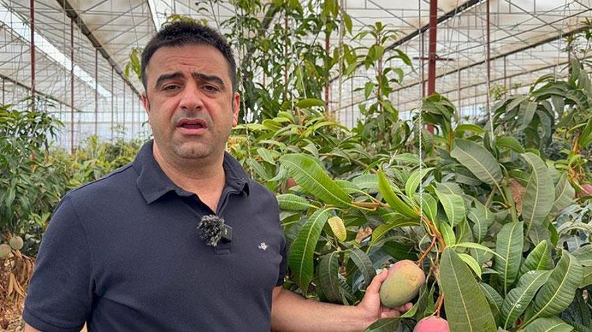 Kimsenin cesaret edemediği O yaptı, 30 yıl önce sadece denemek için başladı! Şimdi 300 dönümden fazla alanda üretim yapıyor