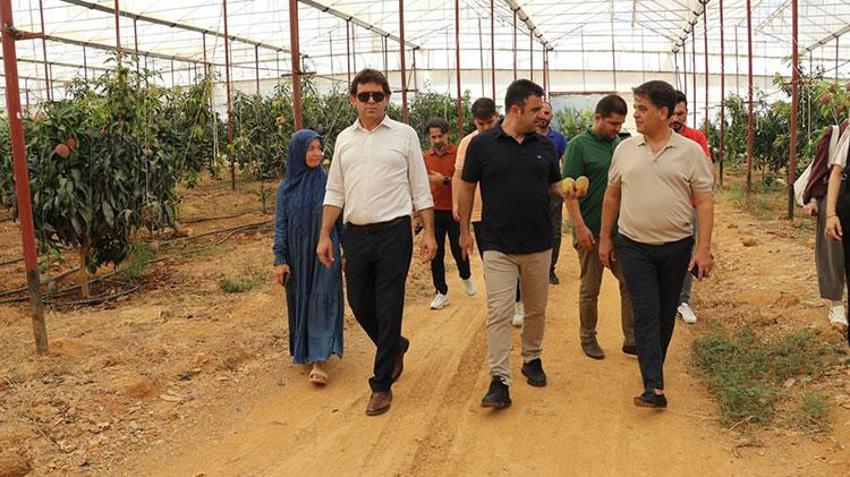 Kimsenin cesaret edemediği O yaptı, 30 yıl önce sadece denemek için başladı! Şimdi 300 dönümden fazla alanda üretim yapıyor