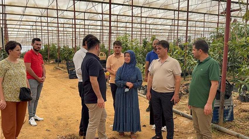 Kimsenin cesaret edemediği O yaptı, 30 yıl önce sadece denemek için başladı! Şimdi 300 dönümden fazla alanda üretim yapıyor