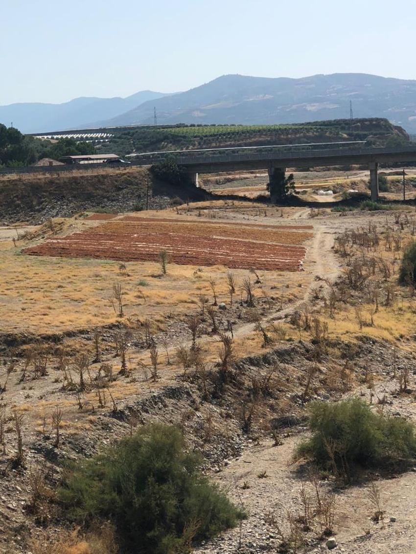 Manisa'da talep azalınca üretici çözümü buldu! Alternatif hazır, kurutma başladı