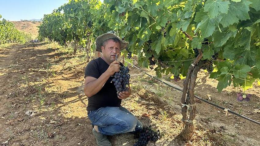 Isparta'da devletin hibe desteğiyle kurulan bahçelerde hasat başladı! Gençler iş sahibi oldu tersine göç başladı