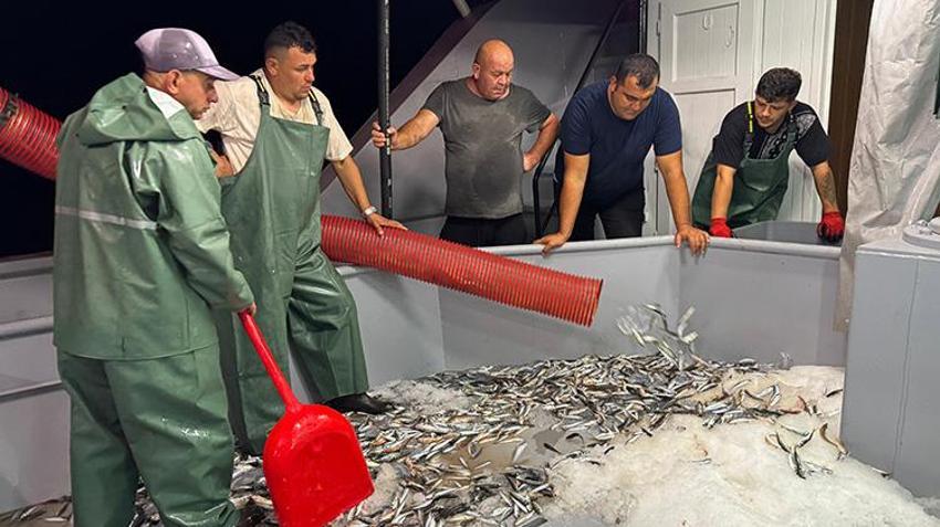 Karadeniz'de 'vira bismillah' sesleri yükseldi: Balıkçılar hasret giderdi! Sezonun ilk balıkları ağlara takıldı