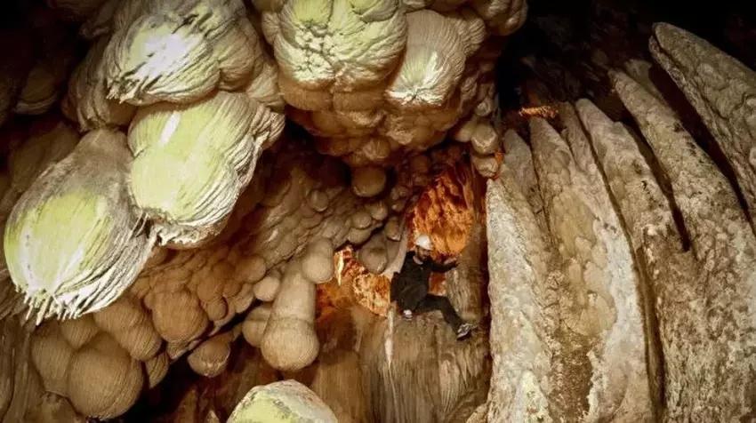 Tokat'ta köyün tepesinde görüldü! Türkiye'de olduğunu duyan koşuyor: Merak son buldu
