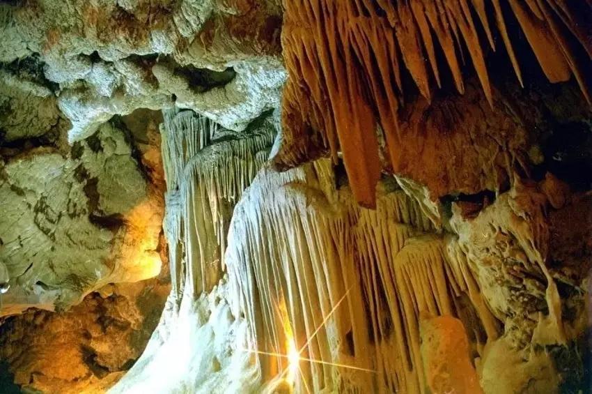 Tokat'ta köyün tepesinde görüldü! Türkiye'de olduğunu duyan koşuyor: Merak son buldu