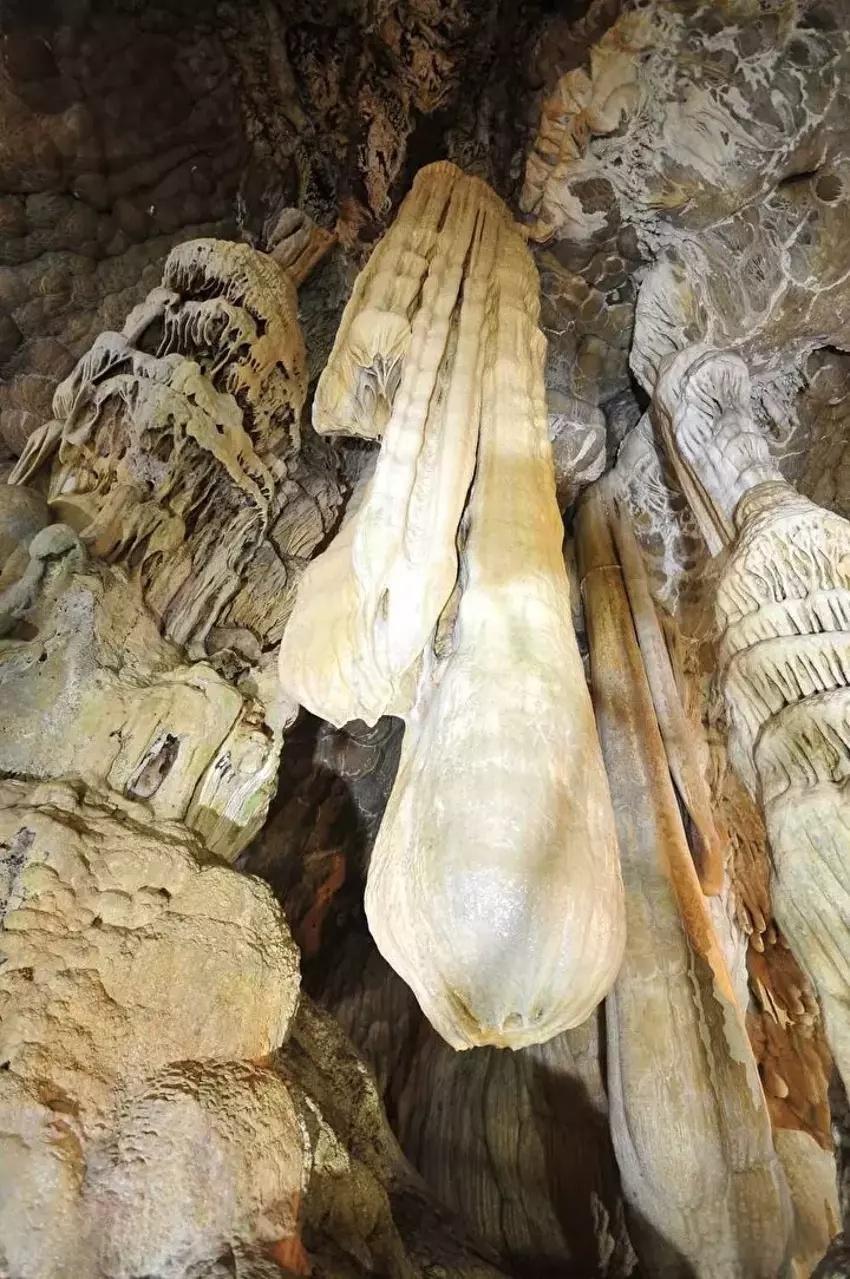 Tokat'ta köyün tepesinde görüldü! Türkiye'de olduğunu duyan koşuyor: Merak son buldu