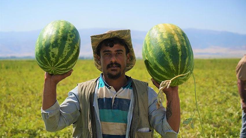 Burası ne Adana ne de Diyarbakır! Bir kent turnayı gözünden vurdu, 2 milyar liralık gelir bekleniyor