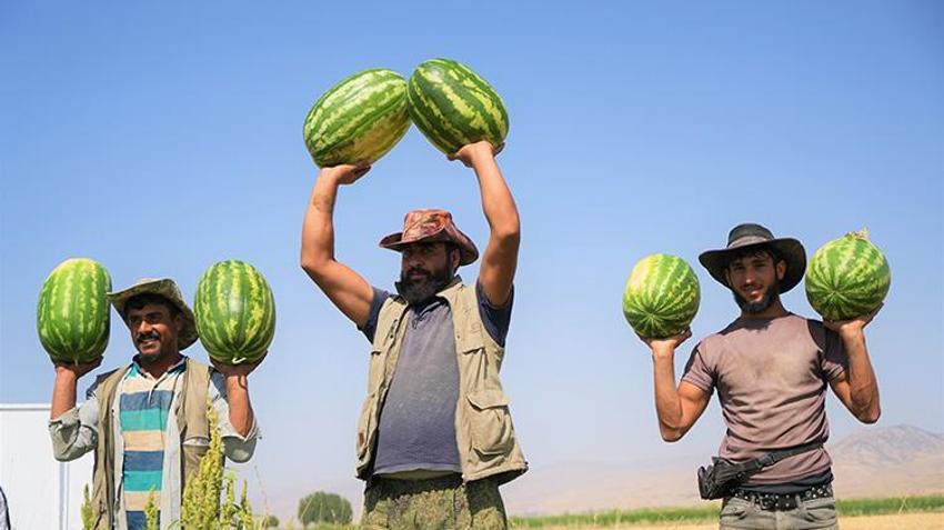 Burası ne Adana ne de Diyarbakır! Bir kent turnayı gözünden vurdu, 2 milyar liralık gelir bekleniyor