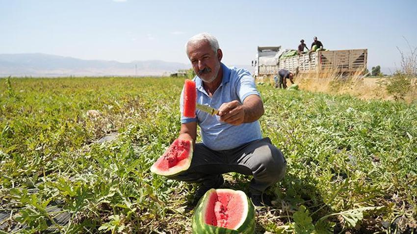 Burası ne Adana ne de Diyarbakır! Bir kent turnayı gözünden vurdu, 2 milyar liralık gelir bekleniyor