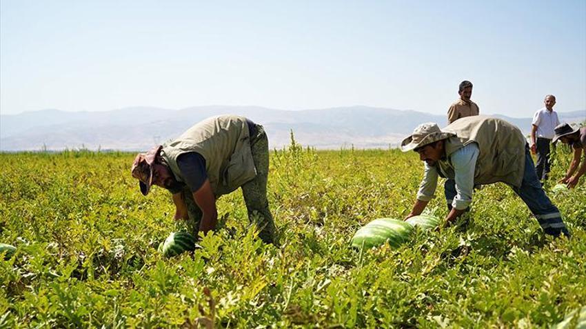 Burası ne Adana ne de Diyarbakır! Bir kent turnayı gözünden vurdu, 2 milyar liralık gelir bekleniyor