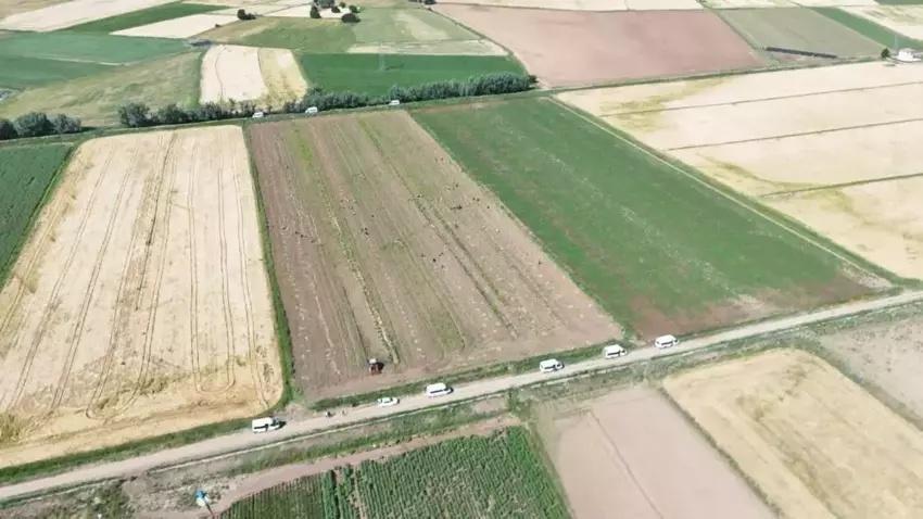 İngiltere'de okulu bırakıp Aksaray'da kurdu! Hasattan sonra Avrupa sıraya girdi: Tonlarca satıyor